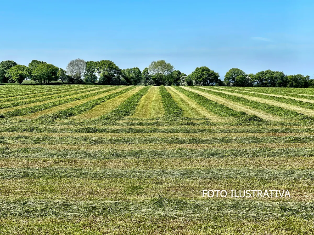 VENTA DE TERRENO EN CORONADO